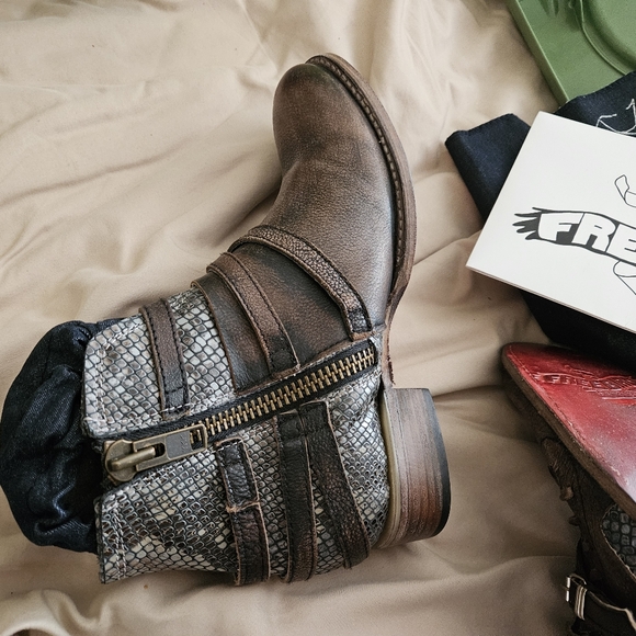 Freebird Belfast - Picture 7 of 7